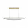 Фото Подвесной светильник Freya Cloud FR5441PL-L40G