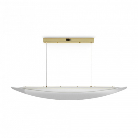 Фото Подвесной светильник Freya Cloud FR5441PL-L40G