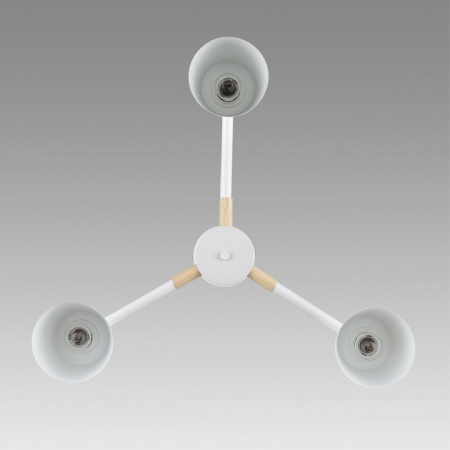 Фото Люстра на штанге Lumion Rosalina 8097/3C