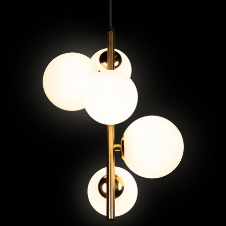 Фото Подвесная люстра Loft it Tely 10236/5