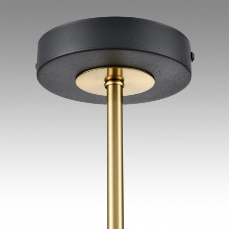 Фото Люстра на штанге Lumion Lanika 8240/8C