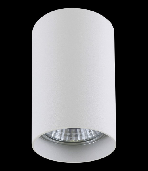 Фото Накладной светильник Lightstar Rullo 214436