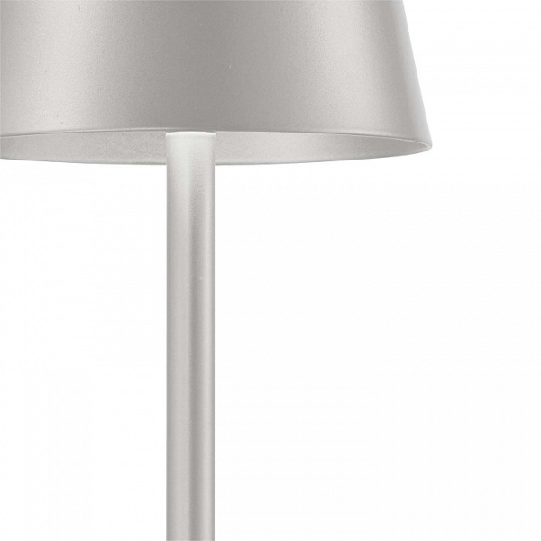 Фото Настольная лампа декоративная F-promo Pyari 4617-1T