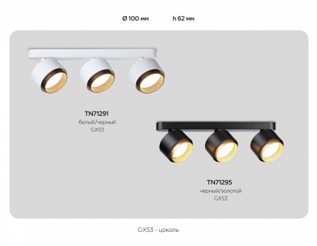 Фото Спот Ambrella Light TN TN71291