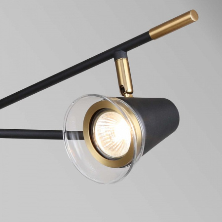 Фото Люстра на штанге F-promo Trandy 4618-3C