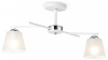 Светильник на штанге Ambrella Light TR TR303201 Светильник на штанге Ambrella Light TR TR303201