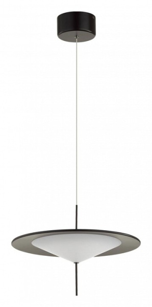 Фото Подвесной светильник Odeon Light Steka 5012/16L