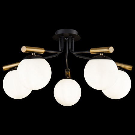 Фото Потолочная люстра Freya Paolina FR5011CL-05B