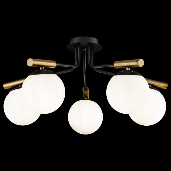 Фото Потолочная люстра Freya Paolina FR5011CL-05B