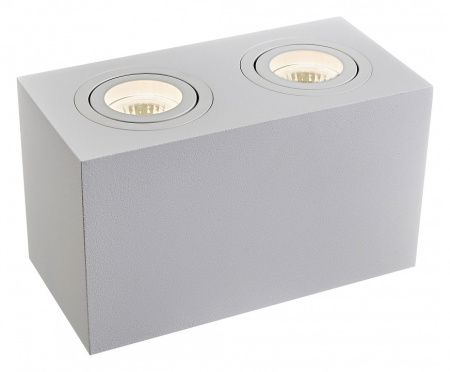 Фото Накладной светильник Maytoni Atom C017CL-02W