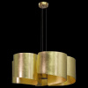 Фото Подвесная люстра Lightstar Pittore 811152