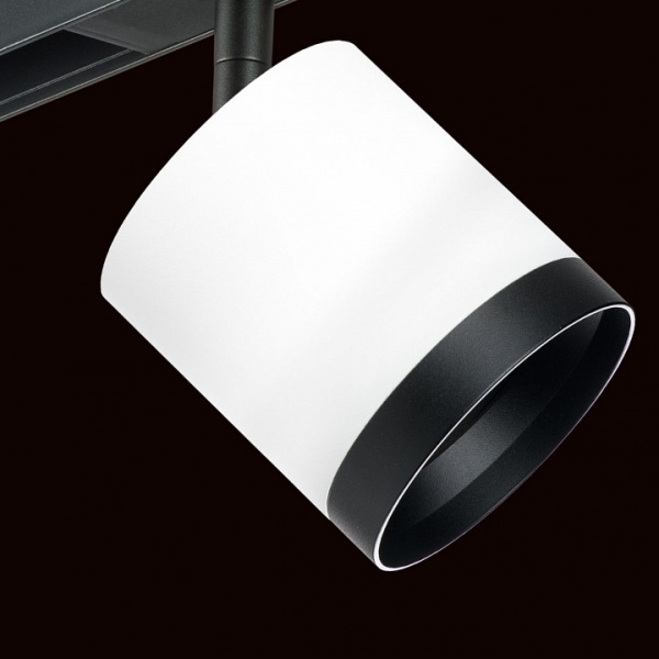 Фото Светильник на штанге Lightstar Rullo PRO34863487