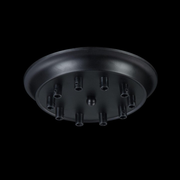 Фото Основание для потолочного светильника Maytoni Dakota T455-10-BASE