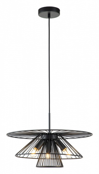 Открыть Подвесной светильник Indigo Strato 10016/3P Black Фото Подвесной светильник Indigo Strato 10016/3P Black