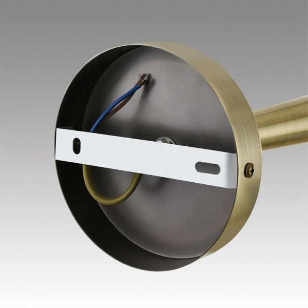 Фото Люстра на штанге Lumion Doliana 6584/6C