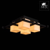 Открыть Накладной светильник Arte Lamp Woods A8252PL-4CK Фото Накладной светильник Arte Lamp Woods A8252PL-4CK