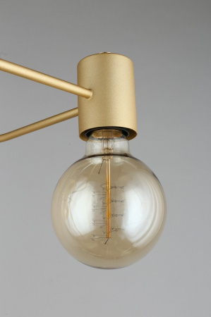 Фото Потолочная люстра Aployt Elison APL.911.07.03