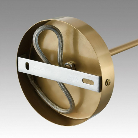 Фото Люстра на штанге Lumion Anri 6590/8