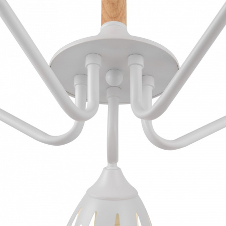 Открыть Подвесная люстра Freya Nendo FR5138PL-05W Фото Подвесная люстра Freya Nendo FR5138PL-05W