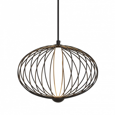 Фото Подвесной светильник Freya Sabi FR6131PL-L10B