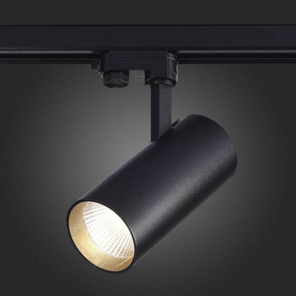 Фото Светильник на штанге ST-Luce Трехфазная трековая система ST661.446.40