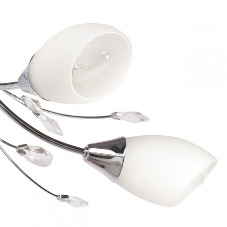 Фото Потолочная люстра MW-Light Нежность 18 356015105