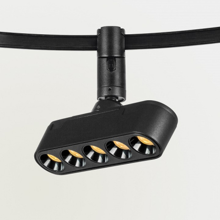 Фото Светильник на штанге Lightstar DUE 267437