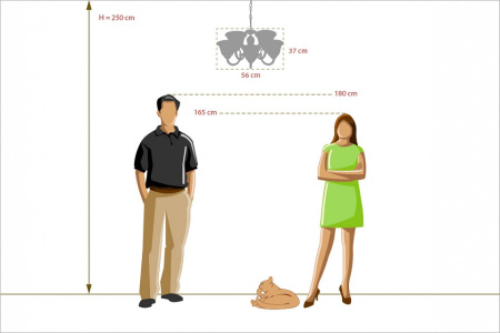 Фото Подвесная люстра MW-Light Ариадна 20 450016305