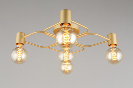 Фото Потолочная люстра Aployt Elison APL.911.07.05