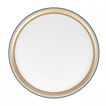 Фото Накладной светильник Citilux BOSS CL751251G