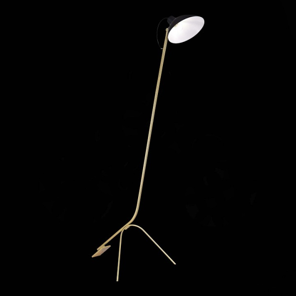 Фото Торшер ST-Luce Jarro SL1803.205.01