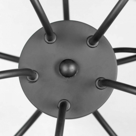 Фото Подвесная люстра Lussole Roosevelt LSP-8198