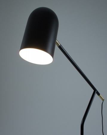 Фото Торшер Moderli Flex V10995-F