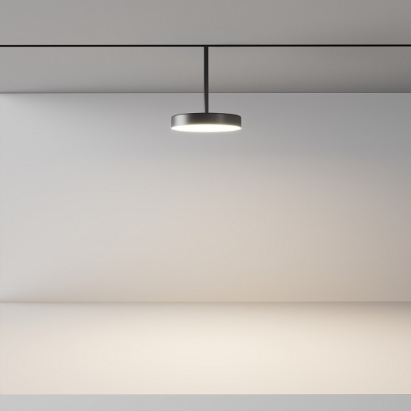 Фото Светильник на штанге Maytoni Plato TR131-4-15W-DS-B