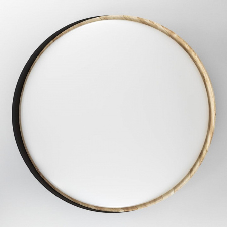 Фото Накладной светильник Citilux BONNY CL754451G