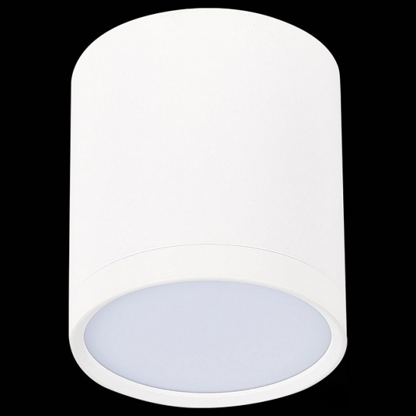 Фото Накладной светильник ST-Luce Rene ST113.542.05