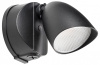 Светильник на штанге Lightstar Diva 374147 Светильник на штанге Lightstar Diva 374147