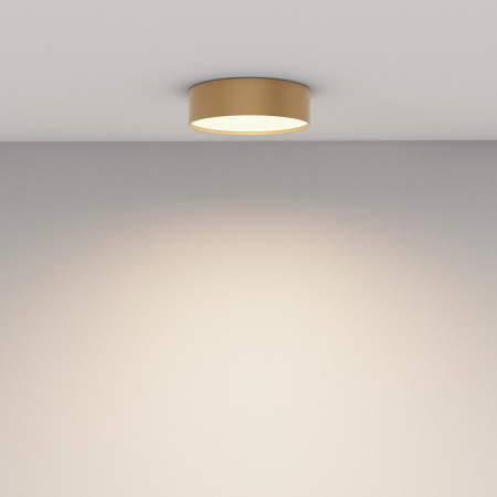 Фото Накладной светильник Maytoni Zon C032CL-24W3K-RD-MG