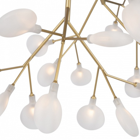 Фото Потолочная люстра Freya Florencia FR5049CL-36G