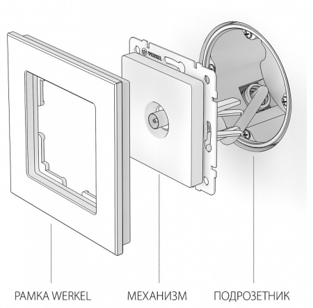 Фото ТВ-розетка Werkel белый W1184001