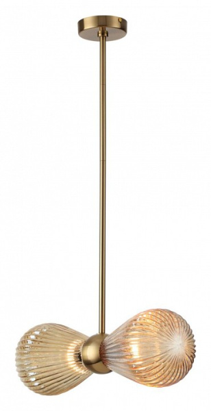 Фото Подвесной светильник Odeon Light Elica 5402/2