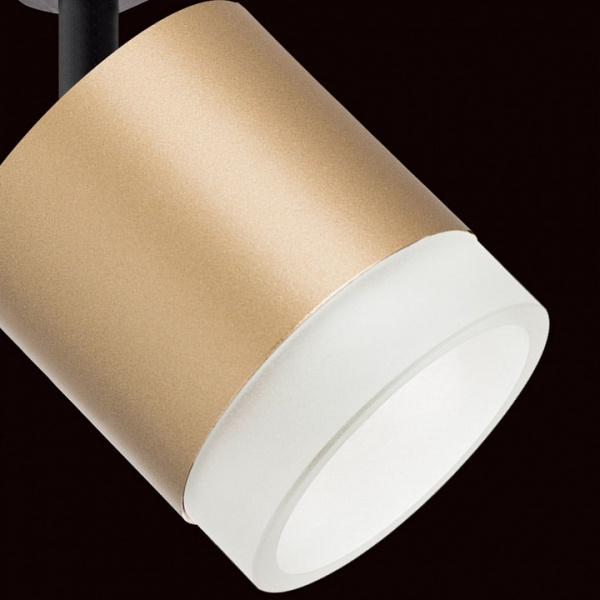 Фото Светильник на штанге Lightstar Rullo R1T349080