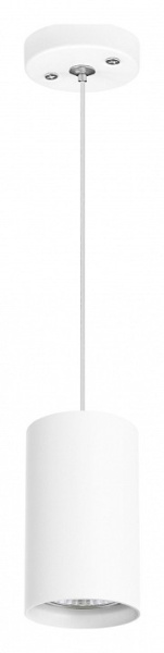 Фото Подвесной светильник Lightstar Rullo RP436