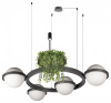 Подвесная люстра Loft it Jardin 10121/4 Dark grey Подвесная люстра Loft it Jardin 10121/4 Dark grey