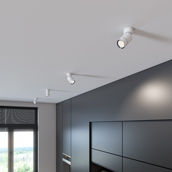 Фото Светильник на штанге Elektrostandard Niro a065462