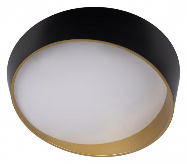 Фото Накладной светильник Loft it Coin 10199 Black