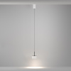 Фото Подвесной светильник Maytoni Glare P102PL-12W4K-W