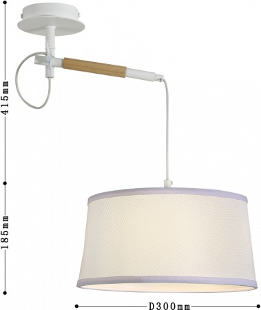 Фото Светильник на штанге F-promo Eureka 3005-1P