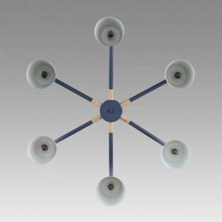 Фото Люстра на штанге Lumion Rosalina 8098/6C