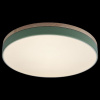 Открыть Накладной светильник Loft it Axel 10001/36 Green Фото Накладной светильник Loft it Axel 10001/36 Green